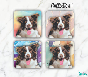 Open image in slideshow, Border Collie Red and White Set of Coasters
