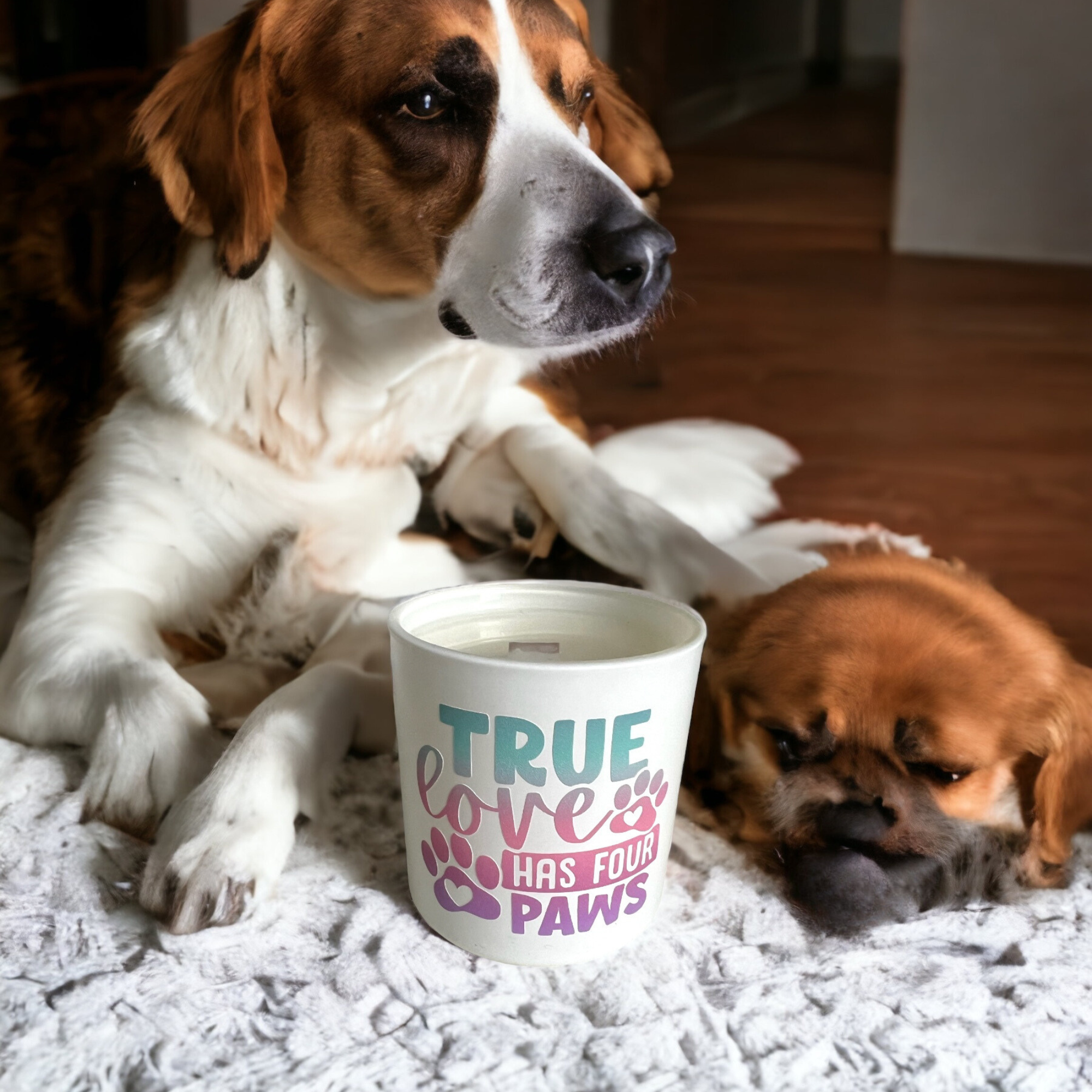 True love has four paws Scented Candle