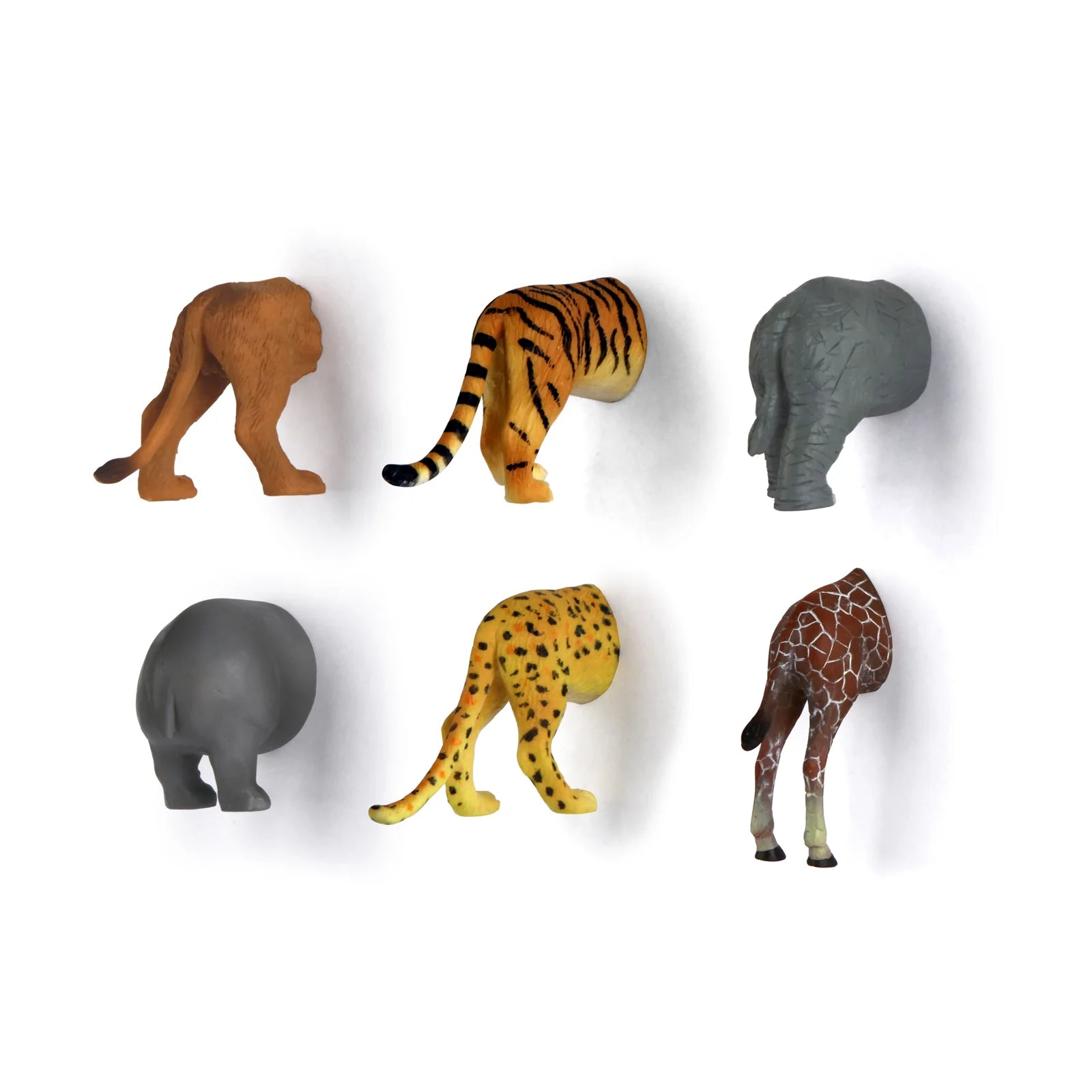 Safari Butt Magnets Set of 6