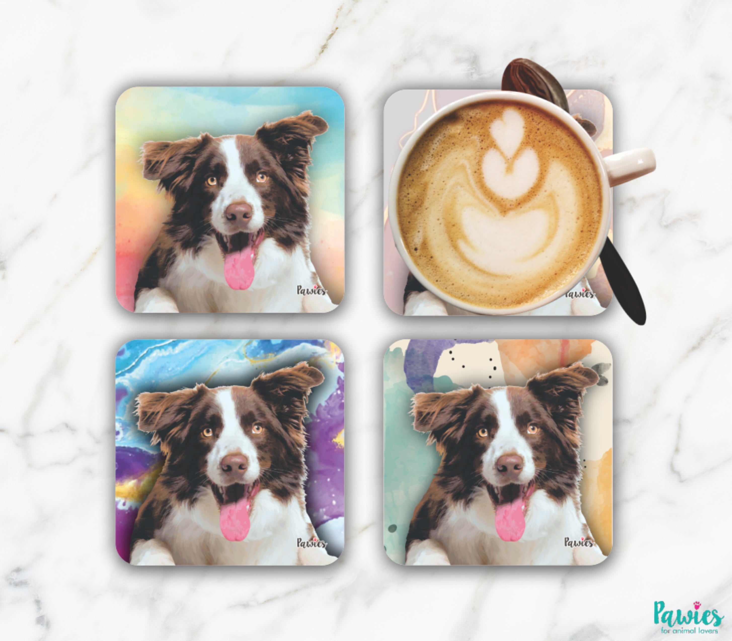 Border Collie Red and White Set of Coasters