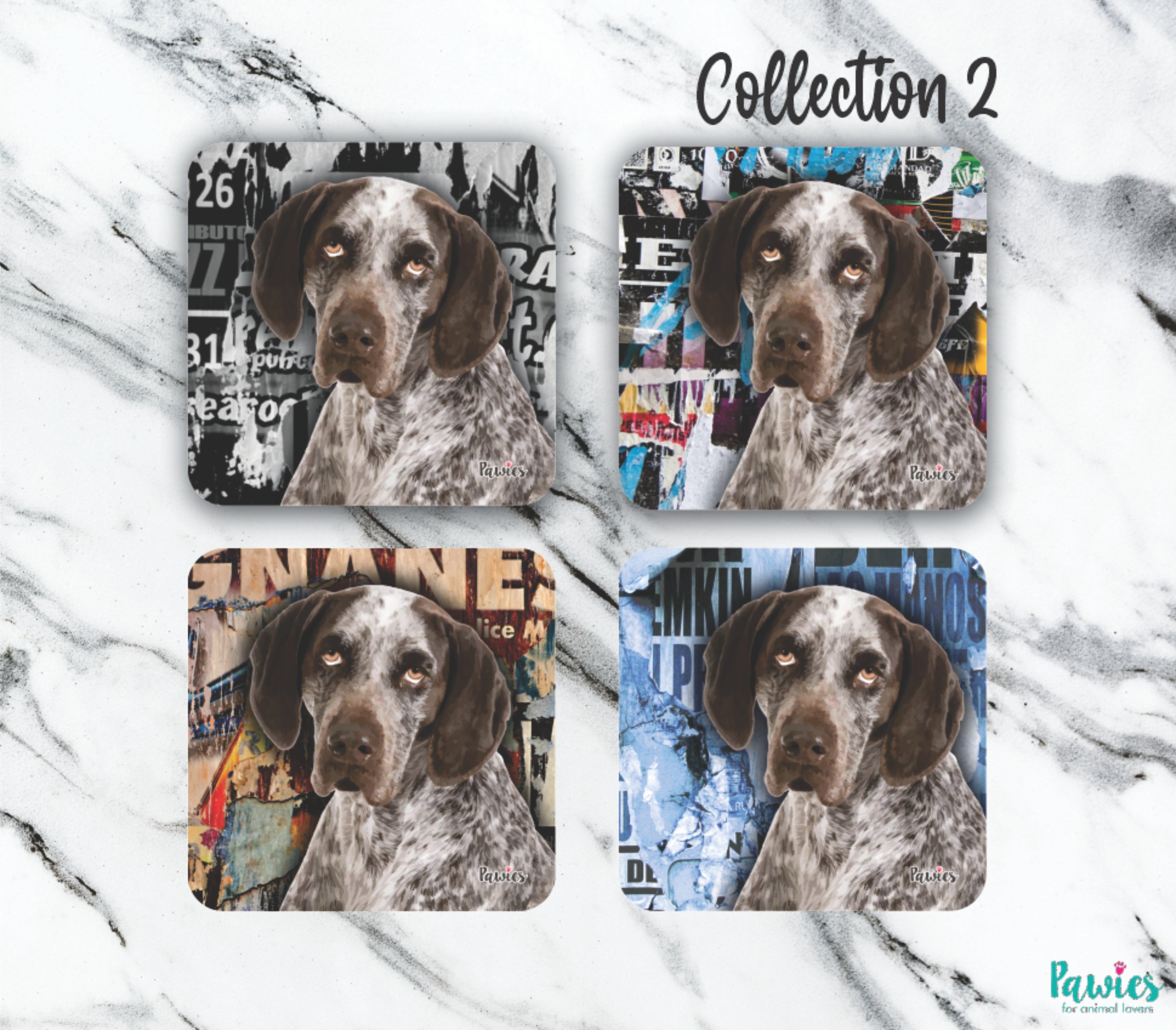 German Shorthaired Pointer Set of Coasters