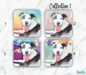 Open image in slideshow, Pit bull Set of Coasters
