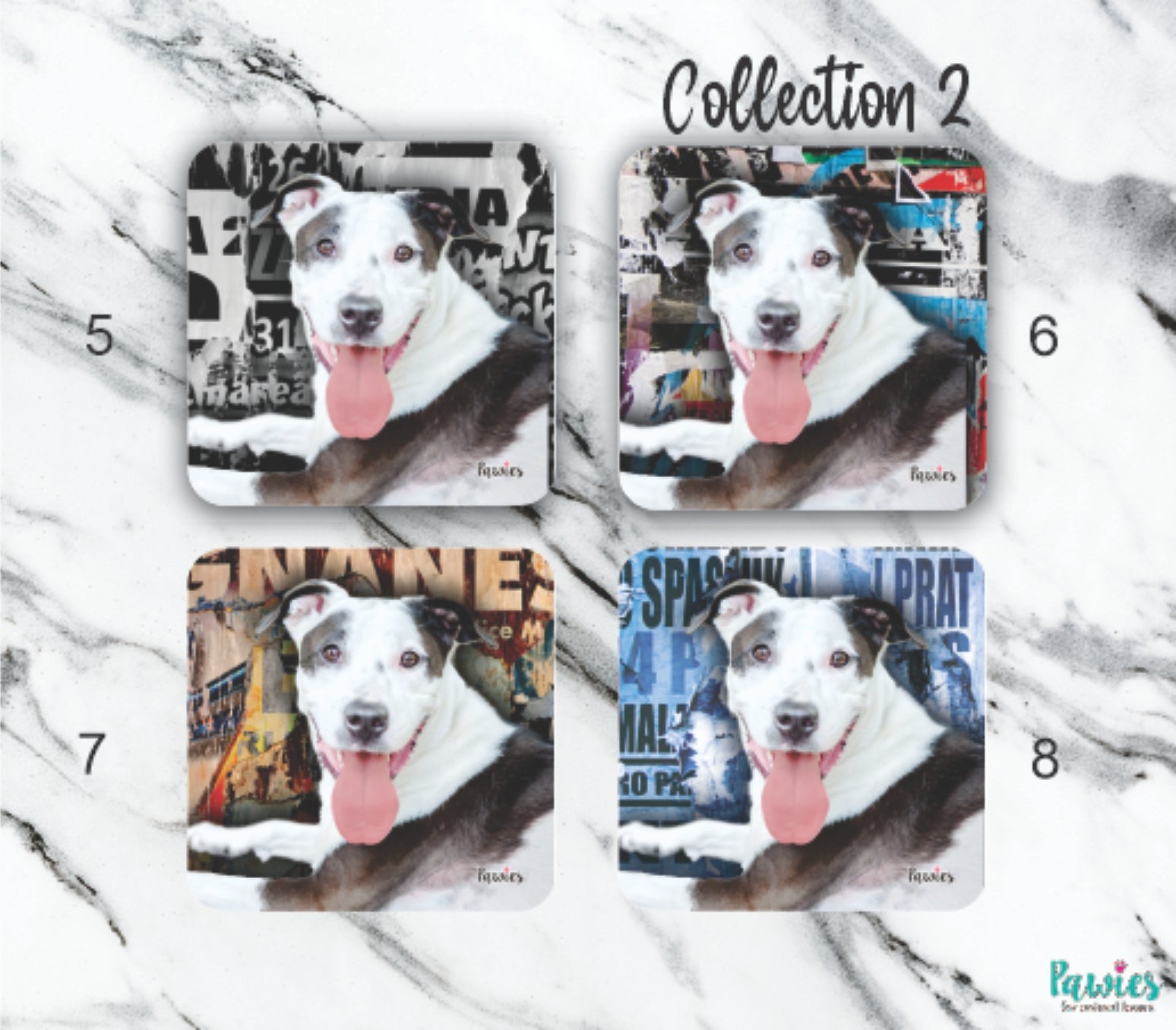 Pit bull Set of Coasters