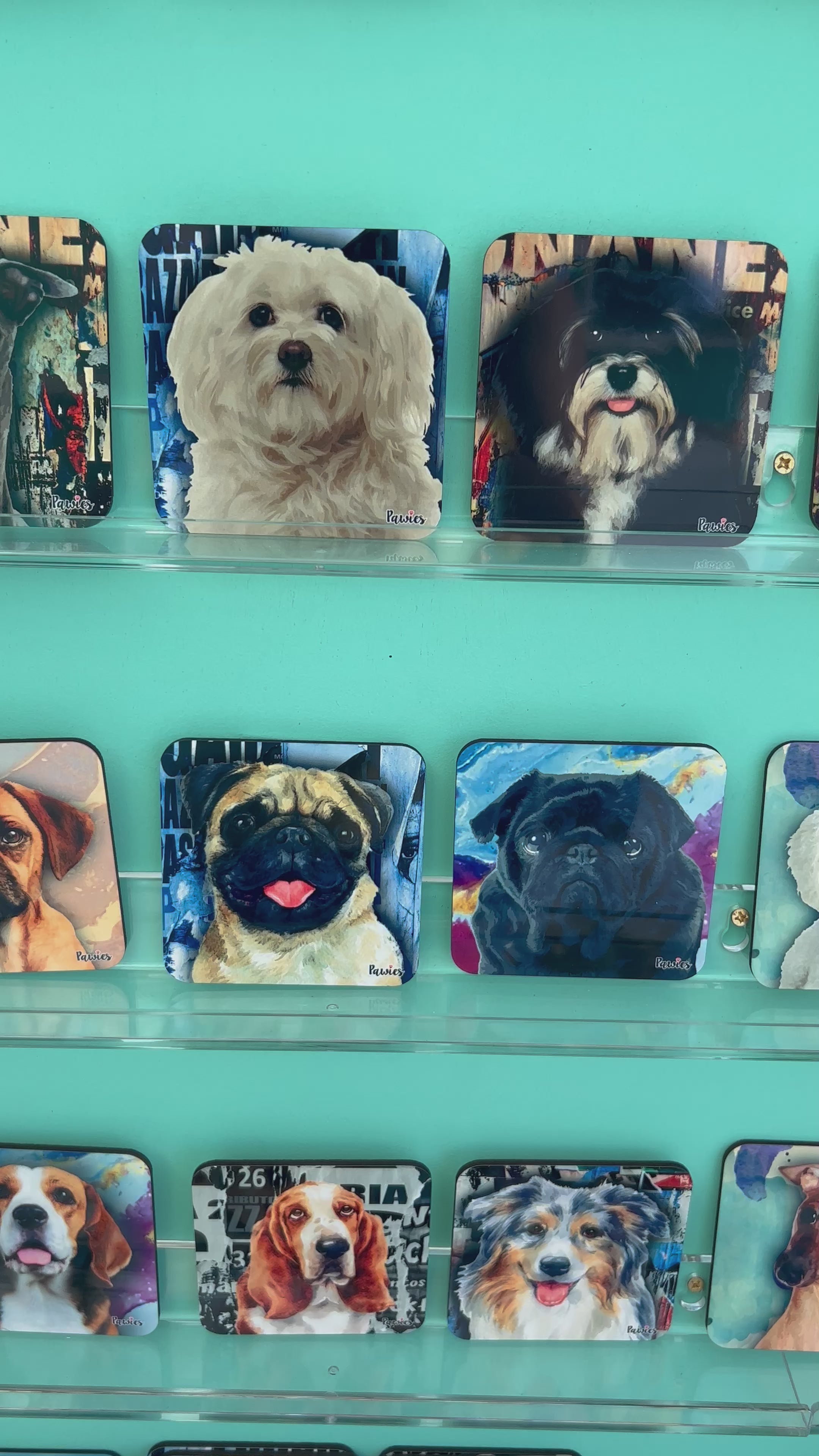 Italian Greyhound Set of Coasters